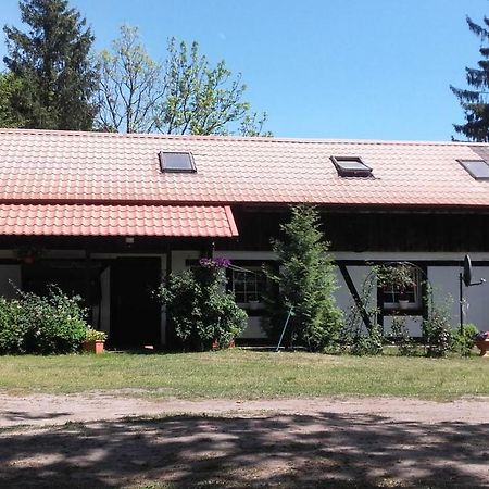Agroturystyka Pod Debami W Klukach Smołdzino Εξωτερικό φωτογραφία