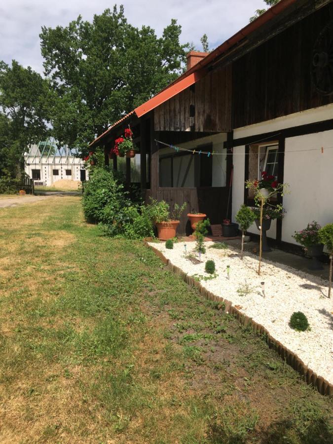 Agroturystyka Pod Debami W Klukach Smołdzino Εξωτερικό φωτογραφία