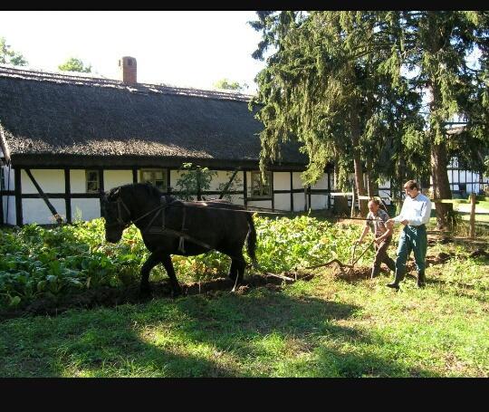 Agroturystyka Pod Debami W Klukach Smołdzino Εξωτερικό φωτογραφία