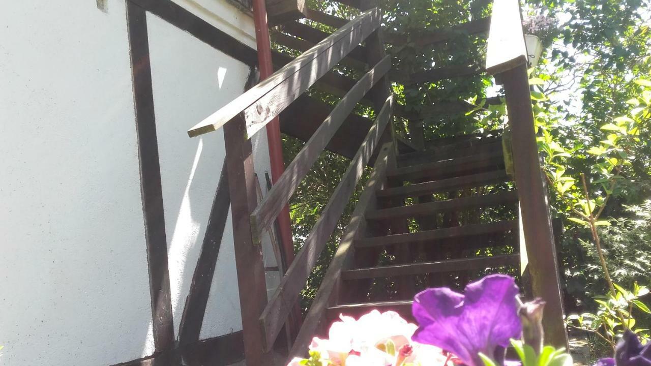 Agroturystyka Pod Debami W Klukach Smołdzino Εξωτερικό φωτογραφία