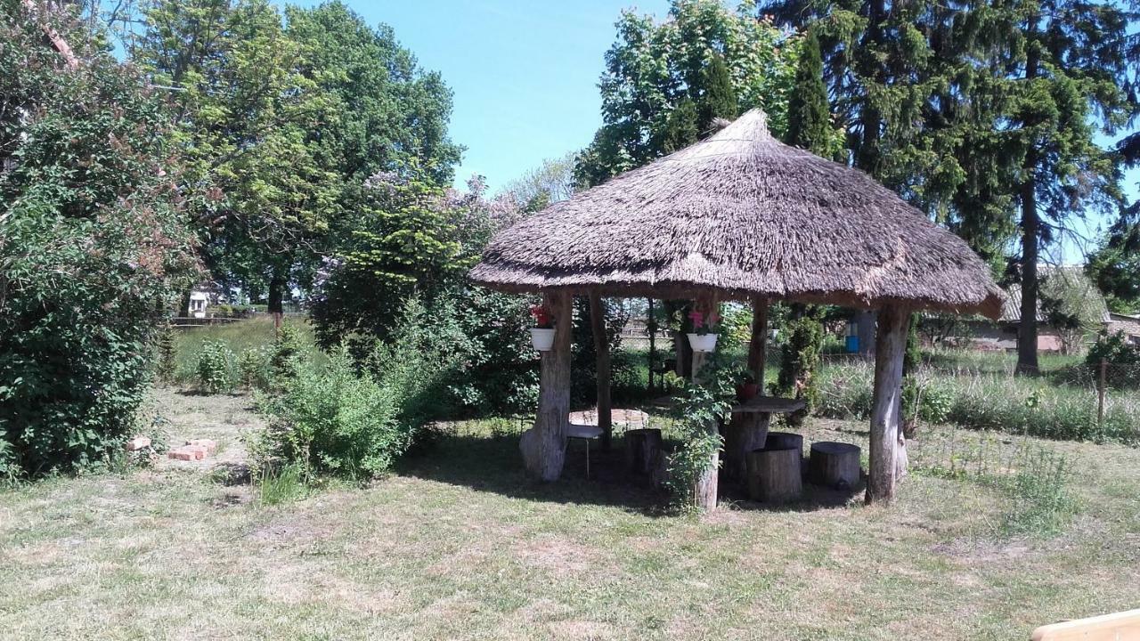 Agroturystyka Pod Debami W Klukach Smołdzino Εξωτερικό φωτογραφία